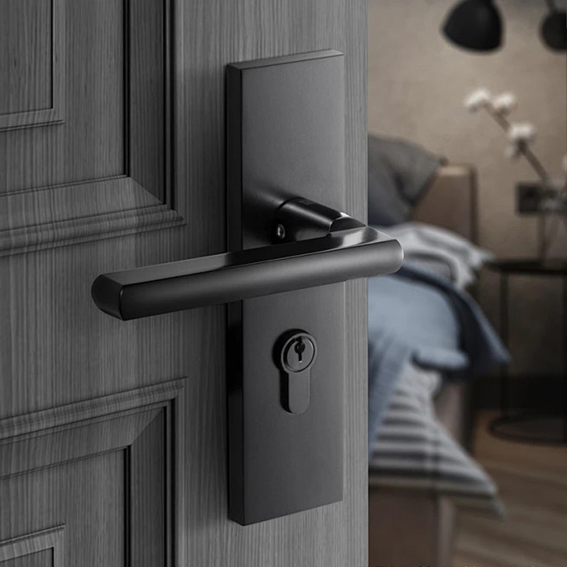 Entry Door Handle Set