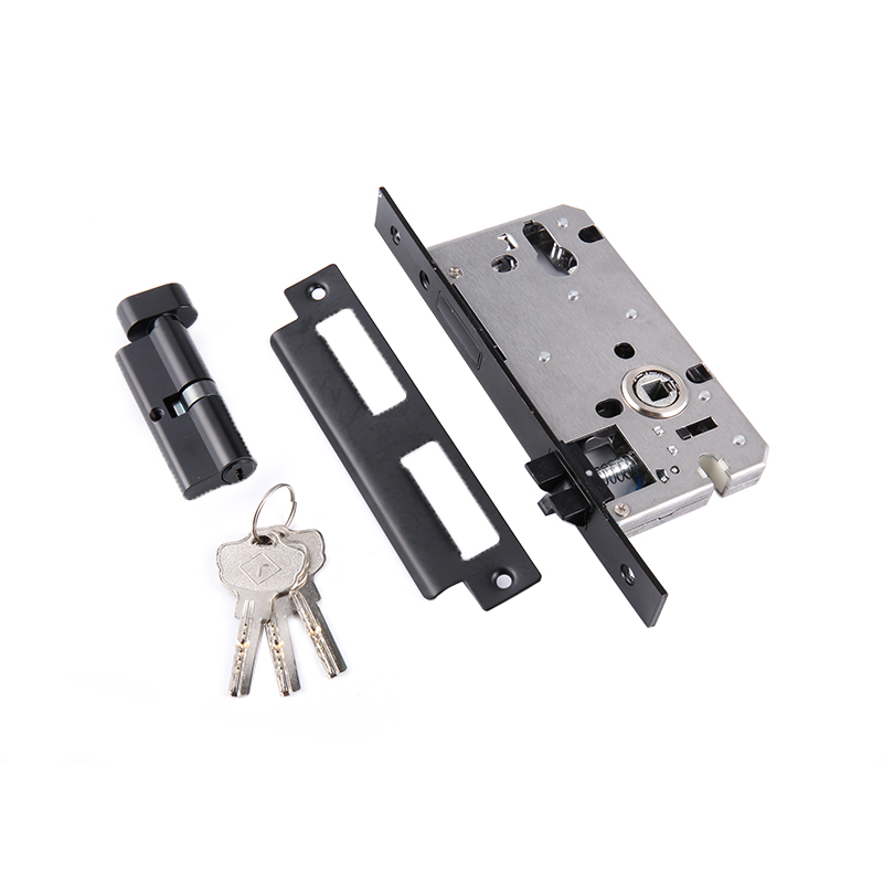 1895 Zinc alloy modern simple indoor split door lock