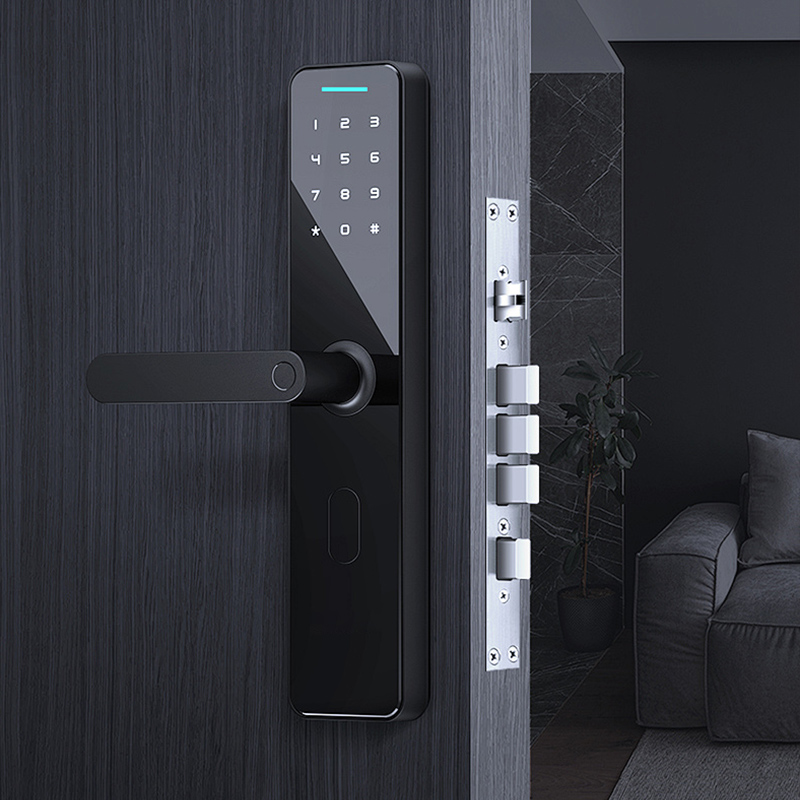 Electronic Password Door Lock